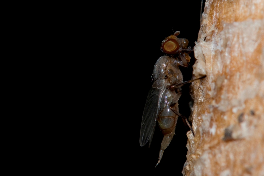 ...non so cos''�...